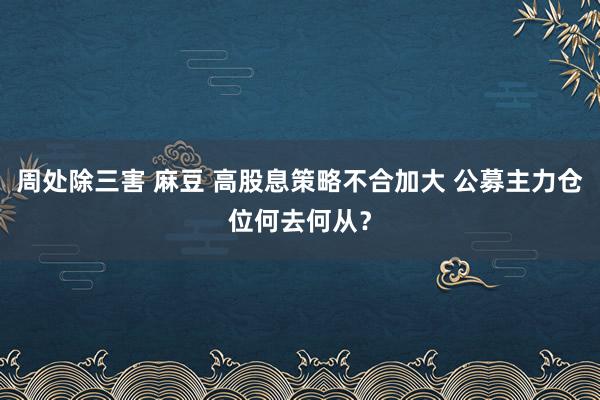 周处除三害 麻豆 高股息策略不合加大 公募主力仓位何去何从？