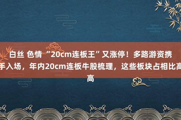 白丝 色情 “20cm连板王”又涨停！多路游资携手入场，年内20cm连板牛股梳理，这些板块占相比高