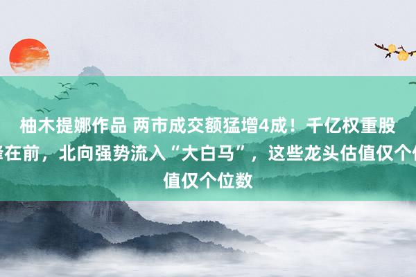 柚木提娜作品 两市成交额猛增4成！千亿权重股冲锋在前，北向强势流入“大白马”，这些龙头估值仅个位数