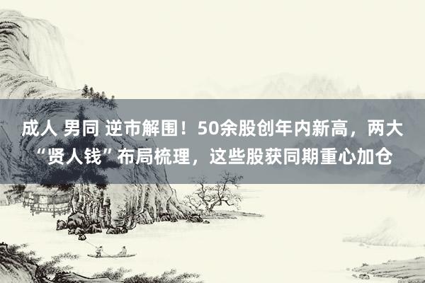 成人 男同 逆市解围！50余股创年内新高，两大“贤人钱”布局梳理，这些股获同期重心加仓