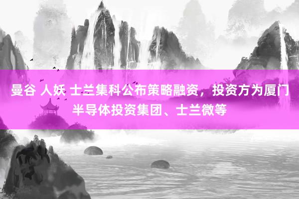 曼谷 人妖 士兰集科公布策略融资，投资方为厦门半导体投资集团、士兰微等