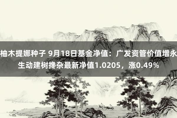 柚木提娜种子 9月18日基金净值：广发资管价值增永生动建树搀杂最新净值1.0205，涨0.49%