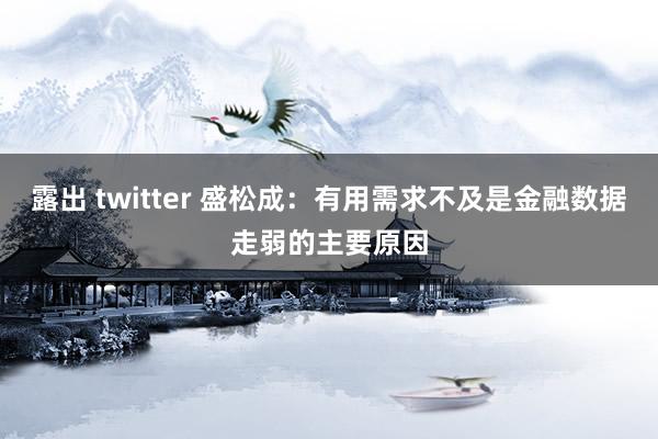 露出 twitter 盛松成：有用需求不及是金融数据走弱的主要原因