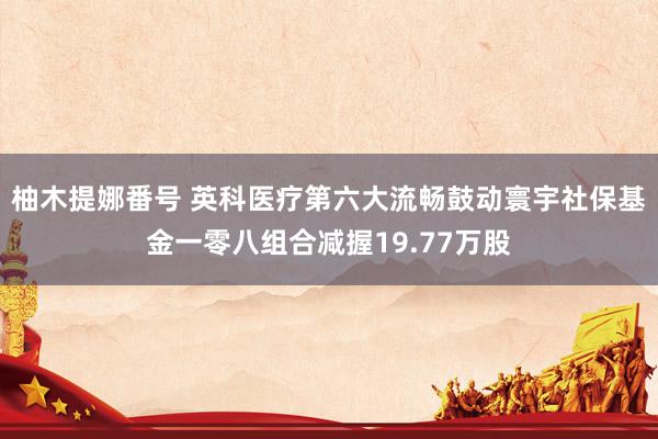 柚木提娜番号 英科医疗第六大流畅鼓动寰宇社保基金一零八组合减握19.77万股