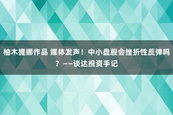 柚木提娜作品 媒体发声！中小盘股会挫折性反弹吗？——谈达投资手记