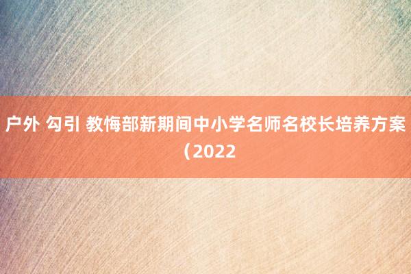 户外 勾引 教悔部新期间中小学名师名校长培养方案（2022