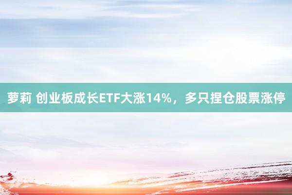 萝莉 创业板成长ETF大涨14%，多只捏仓股票涨停