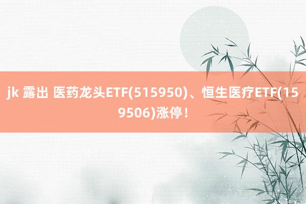 jk 露出 医药龙头ETF(515950)、恒生医疗ETF(159506)涨停！