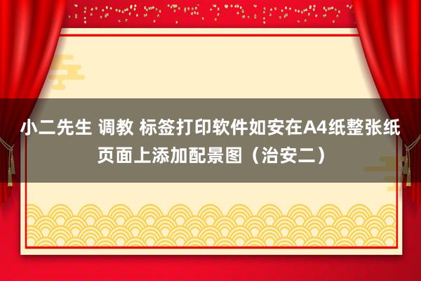 小二先生 调教 标签打印软件如安在A4纸整张纸页面上添加配景图（治安二）