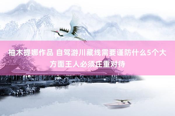 柚木提娜作品 自驾游川藏线需要谨防什么5个大方面王人必须庄重对待