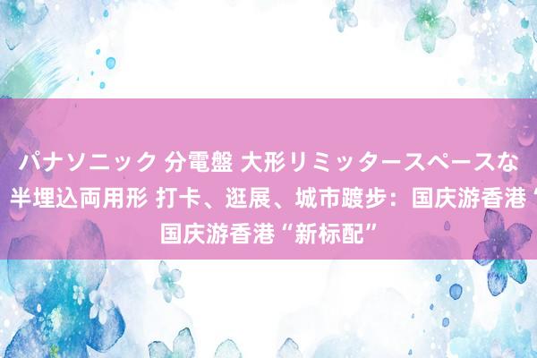 パナソニック 分電盤 大形リミッタースペースなし 露出・半埋込両用形 打卡、逛展、城市踱步：国庆游香港“新标配”