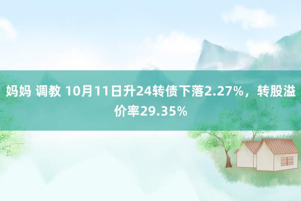 妈妈 调教 10月11日升24转债下落2.27%，转股溢价率29.35%