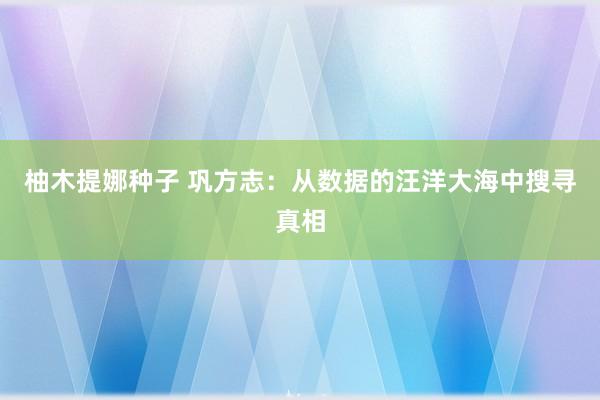 柚木提娜种子 巩方志：从数据的汪洋大海中搜寻真相