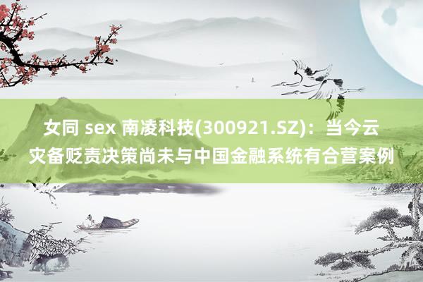 女同 sex 南凌科技(300921.SZ)：当今云灾备贬责决策尚未与中国金融系统有合营案例