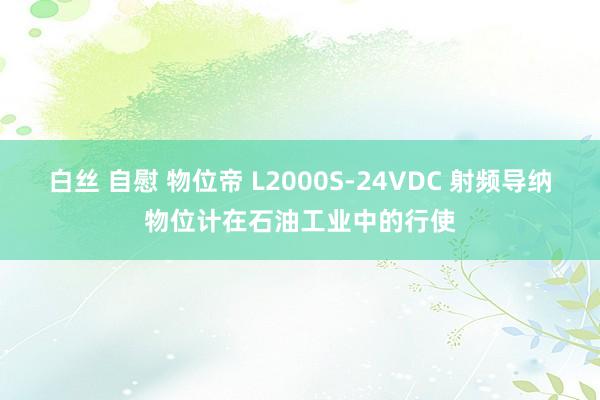 白丝 自慰 物位帝 L2000S-24VDC 射频导纳物位计在石油工业中的行使