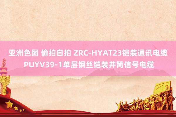 亚洲色图 偷拍自拍 ZRC-HYAT23铠装通讯电缆 PUYV39-1单层钢丝铠装井筒信号电缆