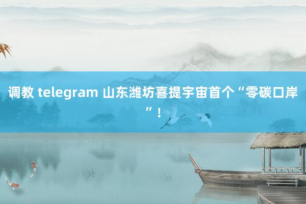 调教 telegram 山东潍坊喜提宇宙首个“零碳口岸”！