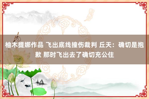 柚木提娜作品 飞出底线撞伤裁判 丘天：确切是抱歉 那时飞出去了确切充公住