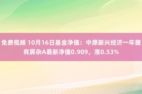 免费视频 10月16日基金净值：中原新兴经济一年握有羼杂A最新净值0.909，涨0.53%