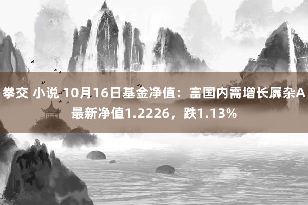 拳交 小说 10月16日基金净值：富国内需增长羼杂A最新净值1.2226，跌1.13%