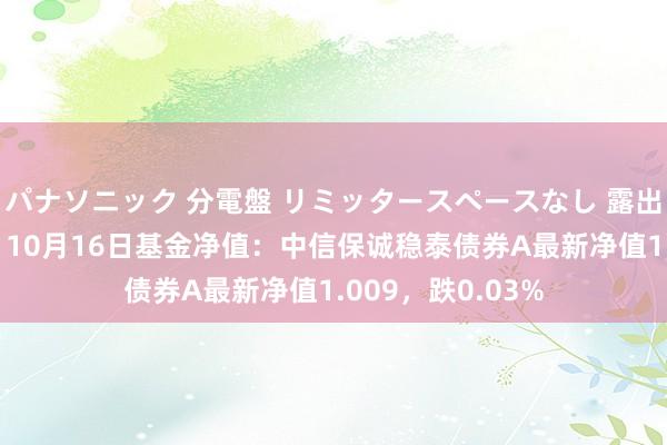 パナソニック 分電盤 リミッタースペースなし 露出・半埋込両用形 10月16日基金净值：中信保诚稳泰债券A最新净值1.009，跌0.03%