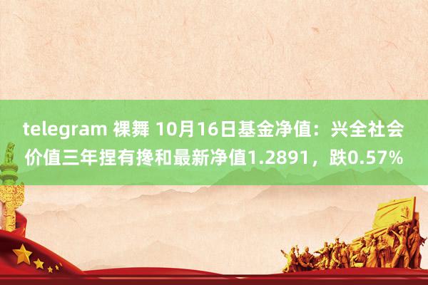 telegram 裸舞 10月16日基金净值：兴全社会价值三年捏有搀和最新净值1.2891，跌0.57%