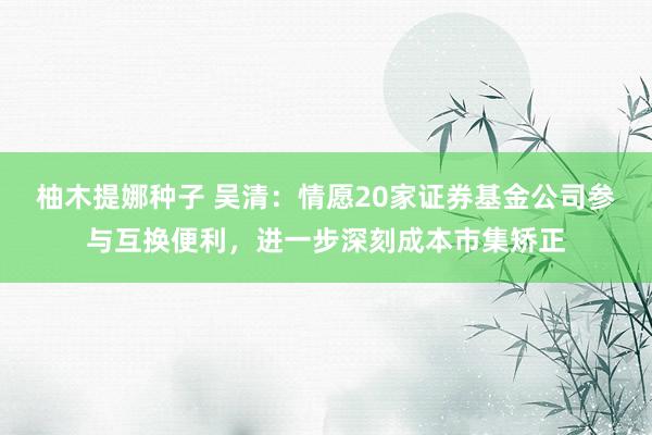 柚木提娜种子 吴清：情愿20家证券基金公司参与互换便利，进一步深刻成本市集矫正