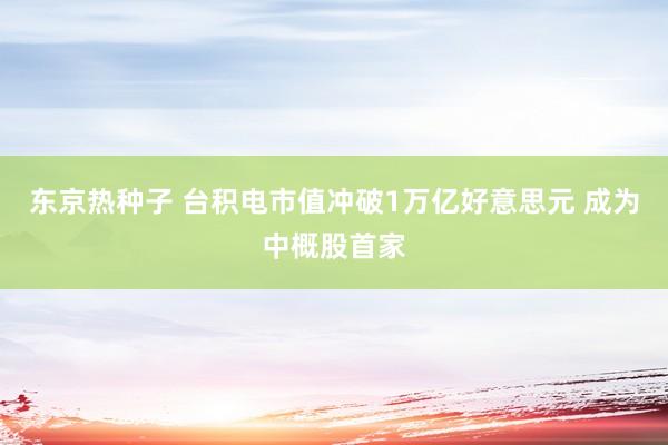 东京热种子 台积电市值冲破1万亿好意思元 成为中概股首家