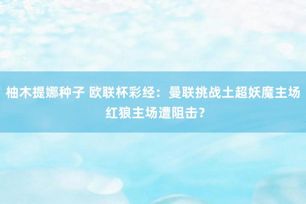 柚木提娜种子 欧联杯彩经：曼联挑战土超妖魔主场 红狼主场遭阻击？