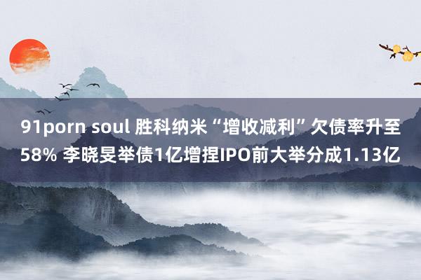 91porn soul 胜科纳米“增收减利”欠债率升至58% 李晓旻举债1亿增捏IPO前大举分成1.13亿