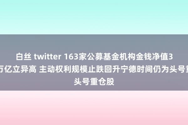 白丝 twitter 163家公募基金机构金钱净值32.07万亿立异高 主动权利规模止跌回升宁德时间仍为头号重仓股