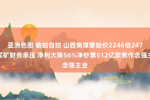 亚洲色图 偷拍自拍 山西焦煤肇始价2246倍247亿买矿财务承压 净利大降56%净钞票512亿聚焦作念强主业