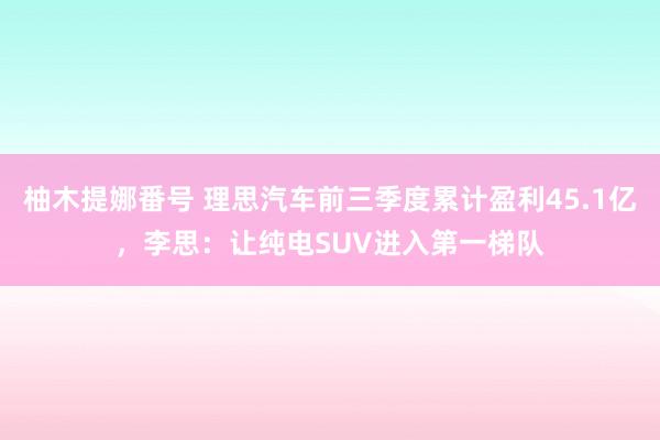 柚木提娜番号 理思汽车前三季度累计盈利45.1亿，李思：让纯电SUV进入第一梯队