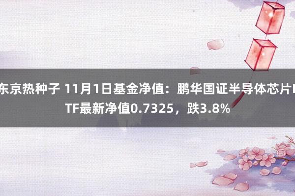 东京热种子 11月1日基金净值：鹏华国证半导体芯片ETF最新净值0.7325，跌3.8%