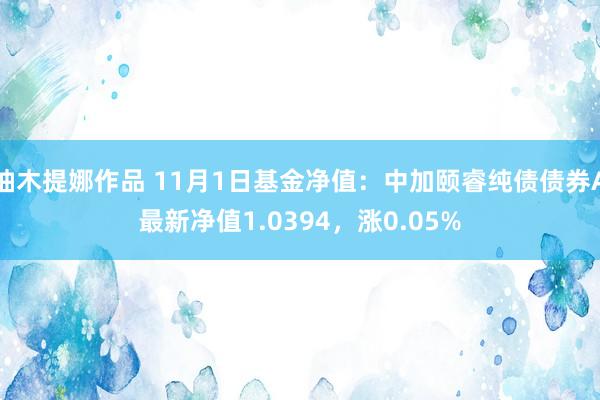 柚木提娜作品 11月1日基金净值：中加颐睿纯债债券A最新净值1.0394，涨0.05%