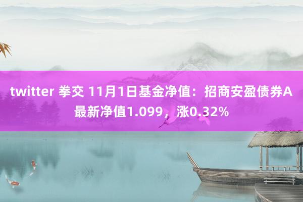 twitter 拳交 11月1日基金净值：招商安盈债券A最新净值1.099，涨0.32%