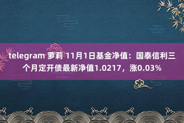 telegram 萝莉 11月1日基金净值：国泰信利三个月定开债最新净值1.0217，涨0.03%