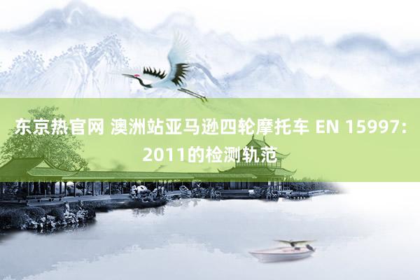 东京热官网 澳洲站亚马逊四轮摩托车 EN 15997:2011的检测轨范