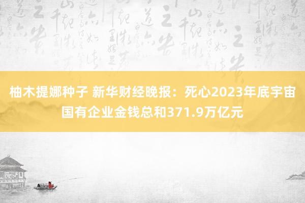 柚木提娜种子 新华财经晚报：死心2023年底宇宙国有企业金钱总和371.9万亿元