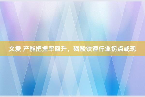 文爱 产能把握率回升，磷酸铁锂行业拐点或现