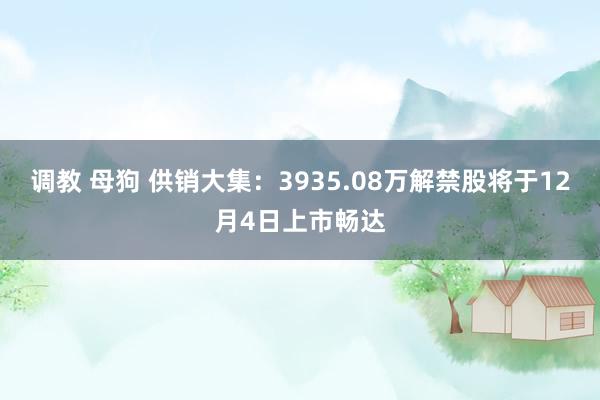 调教 母狗 供销大集：3935.08万解禁股将于12月4日上市畅达