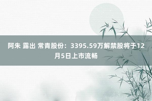 阿朱 露出 常青股份：3395.59万解禁股将于12月5日上市流畅