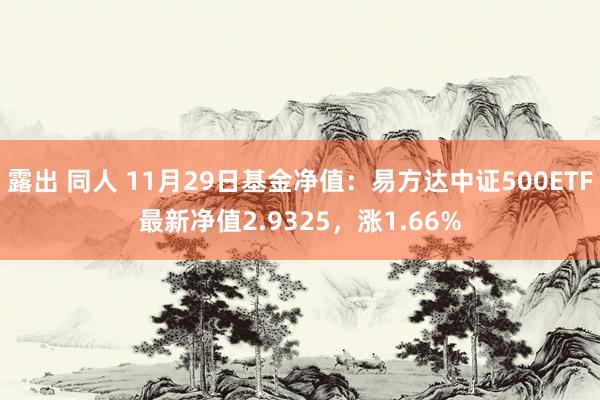 露出 同人 11月29日基金净值：易方达中证500ETF最新净值2.9325，涨1.66%