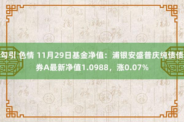 勾引 色情 11月29日基金净值：浦银安盛普庆纯债债券A最新净值1.0988，涨0.07%