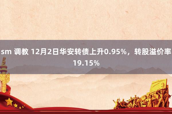 sm 调教 12月2日华安转债上升0.95%，转股溢价率19.15%