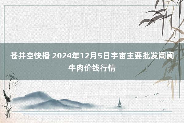 苍井空快播 2024年12月5日宇宙主要批发阛阓牛肉价钱行情