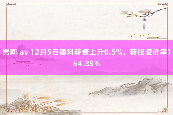 男同 av 12月5日锂科转债上升0.5%，转股溢价率164.85%