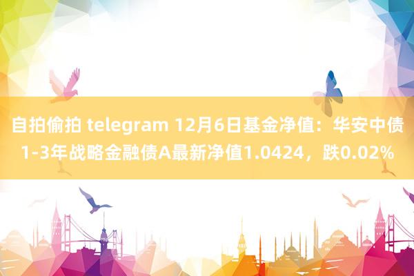 自拍偷拍 telegram 12月6日基金净值：华安中债1-3年战略金融债A最新净值1.0424，跌0.02%