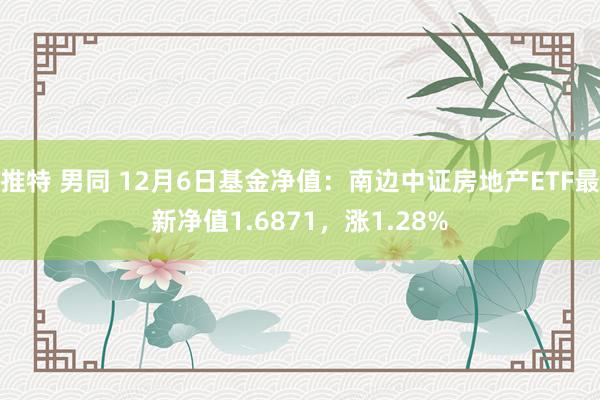 推特 男同 12月6日基金净值：南边中证房地产ETF最新净值1.6871，涨1.28%