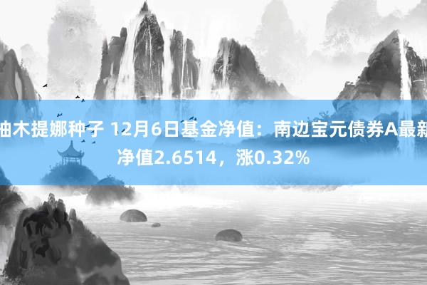 柚木提娜种子 12月6日基金净值：南边宝元债券A最新净值2.6514，涨0.32%